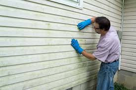 Best Siding Removal and Disposal  in Justice, IL